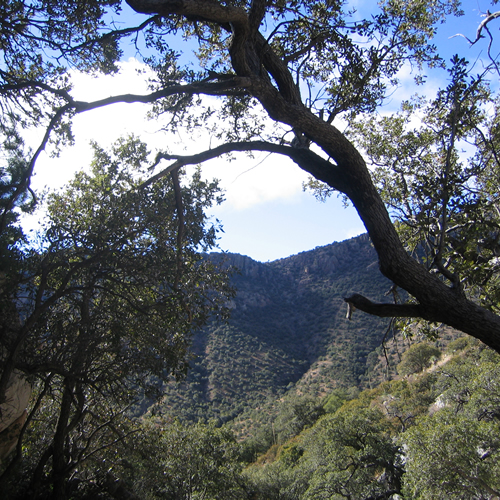 Coronado National Memorial