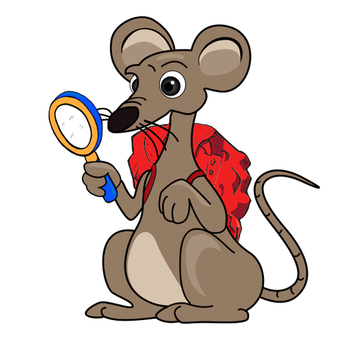 History Detective Packrat