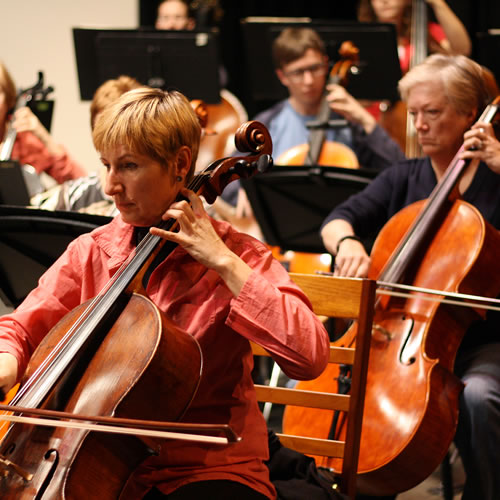 Sierra Vista Symphony Orchestra