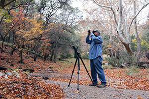 Birder-birding-at-Ramsey-Canyon